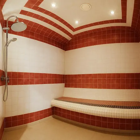 호텔 Piotr Spa&wellness 3*