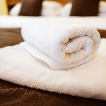 ホテル Piotr Spa&wellness 3*